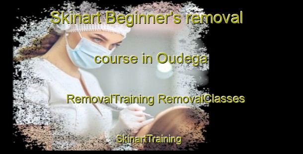 Skinart Beginner's removal course in Oudega | #RemovalTraining #RemovalClasses #SkinartTraining-Netherlands