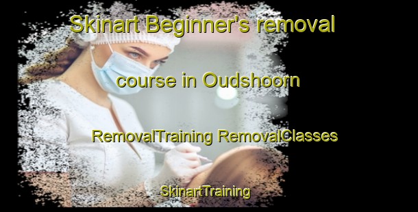 Skinart Beginner's removal course in Oudshoorn | #RemovalTraining #RemovalClasses #SkinartTraining-Netherlands