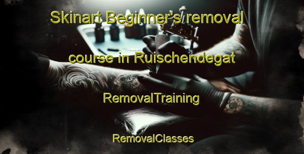 Skinart Beginner's removal course in Ruischendegat | RemovalTraining | RemovalClasses | SkinartTraining-Netherlands
