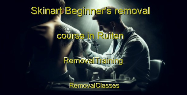 Skinart Beginner's removal course in Ruiten | RemovalTraining | RemovalClasses | SkinartTraining-Netherlands