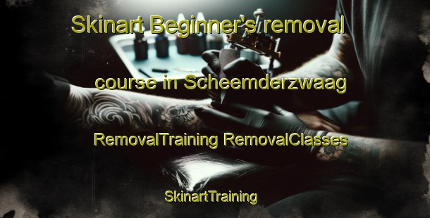 Skinart Beginner's removal course in Scheemderzwaag | #RemovalTraining #RemovalClasses #SkinartTraining-Netherlands