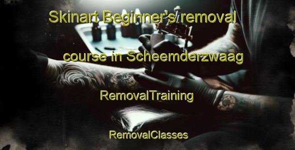 Skinart Beginner's removal course in Scheemderzwaag | RemovalTraining | RemovalClasses | SkinartTraining-Netherlands