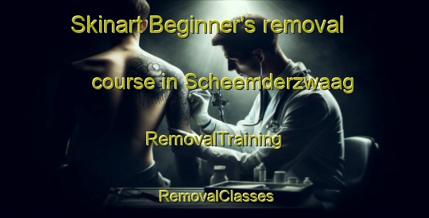 Skinart Beginner's removal course in Scheemderzwaag | RemovalTraining | RemovalClasses | SkinartTraining-Netherlands