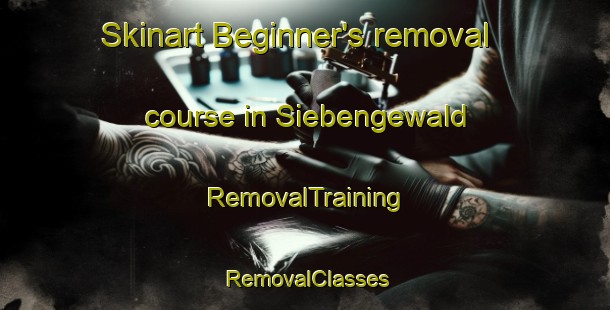 Skinart Beginner's removal course in Siebengewald | RemovalTraining | RemovalClasses | SkinartTraining-Netherlands