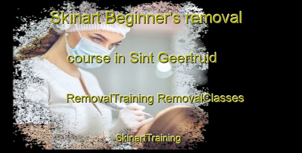 Skinart Beginner's removal course in Sint Geertruid | #RemovalTraining #RemovalClasses #SkinartTraining-Netherlands