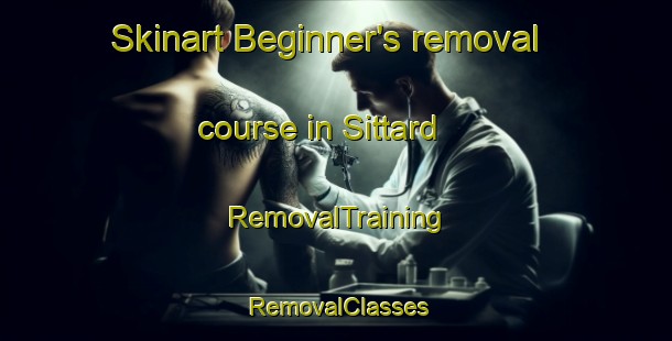 Skinart Beginner's removal course in Sittard | RemovalTraining | RemovalClasses | SkinartTraining-Netherlands