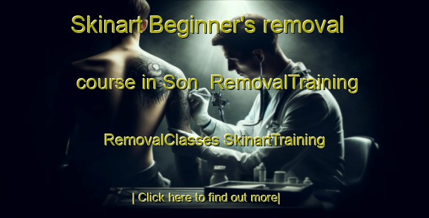 Skinart Beginner's removal course in Son | #RemovalTraining #RemovalClasses #SkinartTraining-Netherlands