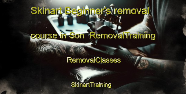 Skinart Beginner's removal course in Son | RemovalTraining | RemovalClasses | SkinartTraining-Netherlands