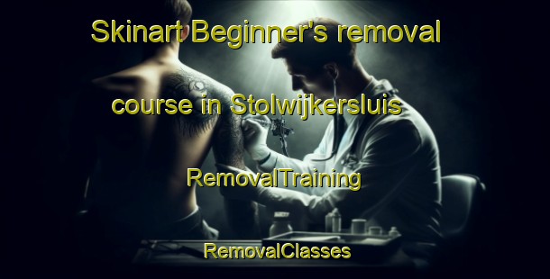 Skinart Beginner's removal course in Stolwijkersluis | RemovalTraining | RemovalClasses | SkinartTraining-Netherlands