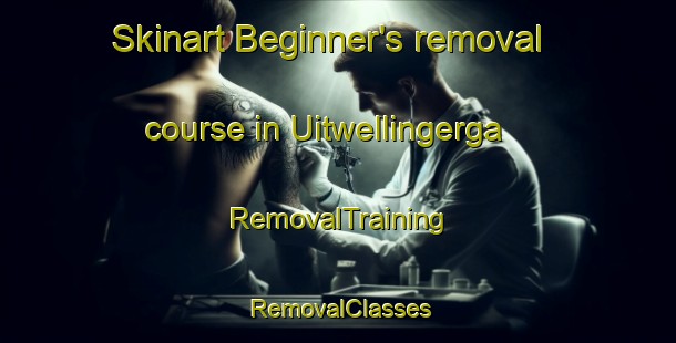 Skinart Beginner's removal course in Uitwellingerga | RemovalTraining | RemovalClasses | SkinartTraining-Netherlands