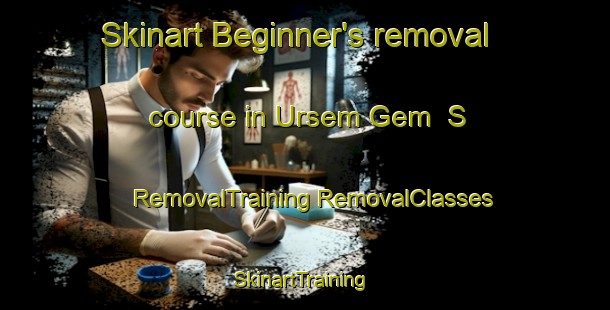 Skinart Beginner's removal course in Ursem Gem  S | #RemovalTraining #RemovalClasses #SkinartTraining-Netherlands