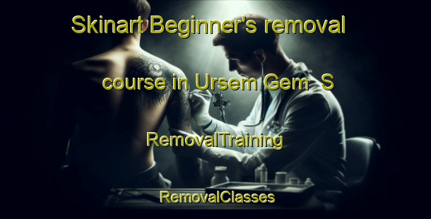 Skinart Beginner's removal course in Ursem Gem  S | RemovalTraining | RemovalClasses | SkinartTraining-Netherlands