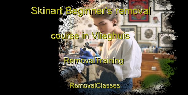 Skinart Beginner's removal course in Vlieghuis | RemovalTraining | RemovalClasses | SkinartTraining-Netherlands