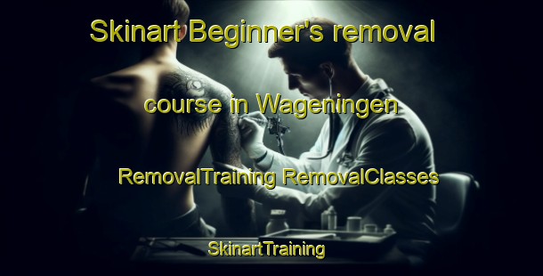 Skinart Beginner's removal course in Wageningen | #RemovalTraining #RemovalClasses #SkinartTraining-Netherlands