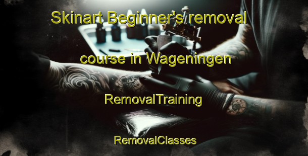Skinart Beginner's removal course in Wageningen | RemovalTraining | RemovalClasses | SkinartTraining-Netherlands