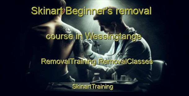 Skinart Beginner's removal course in Wessingtange | #RemovalTraining #RemovalClasses #SkinartTraining-Netherlands