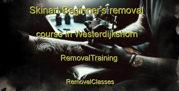 Skinart Beginner's removal course in Westerdijkshorn | RemovalTraining | RemovalClasses | SkinartTraining-Netherlands