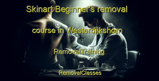 Skinart Beginner's removal course in Westerdijkshorn | RemovalTraining | RemovalClasses | SkinartTraining-Netherlands