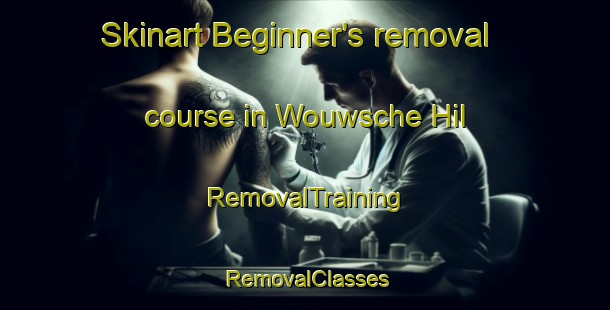 Skinart Beginner's removal course in Wouwsche Hil | RemovalTraining | RemovalClasses | SkinartTraining-Netherlands