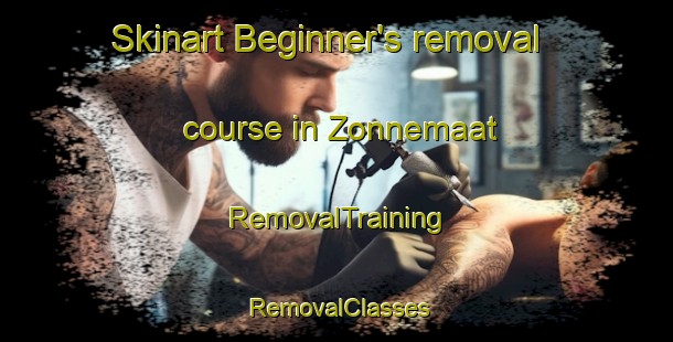 Skinart Beginner's removal course in Zonnemaat | RemovalTraining | RemovalClasses | SkinartTraining-Netherlands