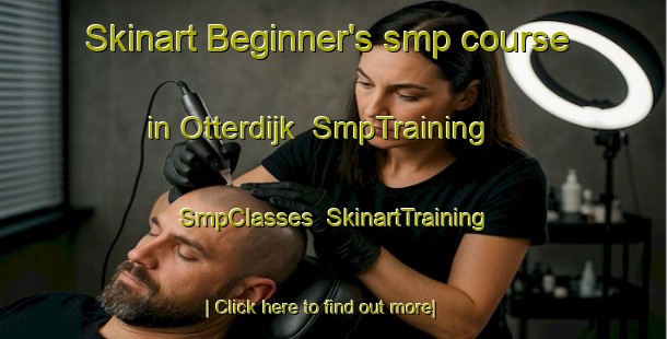 Skinart Beginner's smp course in Otterdijk | SmpTraining | SmpClasses | SkinartTraining-Netherlands