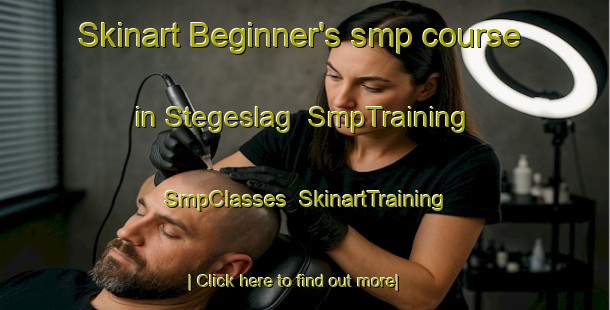 Skinart Beginner's smp course in Stegeslag | SmpTraining | SmpClasses | SkinartTraining-Netherlands