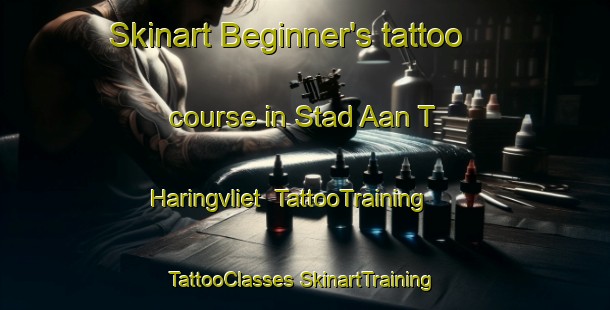 Skinart Beginner's tattoo course in Stad Aan T Haringvliet | #TattooTraining #TattooClasses #SkinartTraining-Netherlands