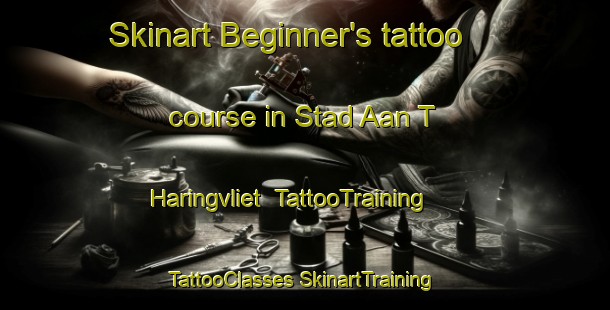 Skinart Beginner's tattoo course in Stad Aan T Haringvliet | #TattooTraining #TattooClasses #SkinartTraining-Netherlands