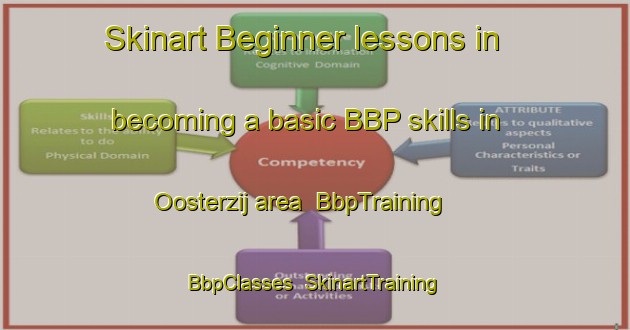 Skinart Beginner lessons in becoming a basic BBP skills in Oosterzij area | BbpTraining | BbpClasses | SkinartTraining-Netherlands
