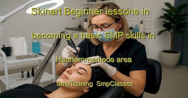 Skinart Beginner lessons in becoming a basic SMP skills in Haarlemmerliede area | SmpTraining | SmpClasses | SkinartTraining-Netherlands