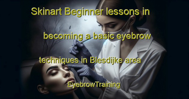 Skinart Beginner lessons in becoming a basic eyebrow techniques in Blesdijke area | EyebrowTraining | EyebrowClasses | SkinartTraining-Netherlands
