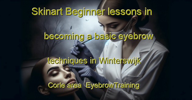 Skinart Beginner lessons in becoming a basic eyebrow techniques in Winterswijk Corle area | EyebrowTraining | EyebrowClasses | SkinartTraining-Netherlands