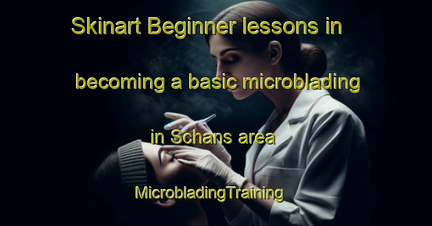 Skinart Beginner lessons in becoming a basic microblading in Schans area | MicrobladingTraining | MicrobladingClasses | SkinartTraining-Netherlands