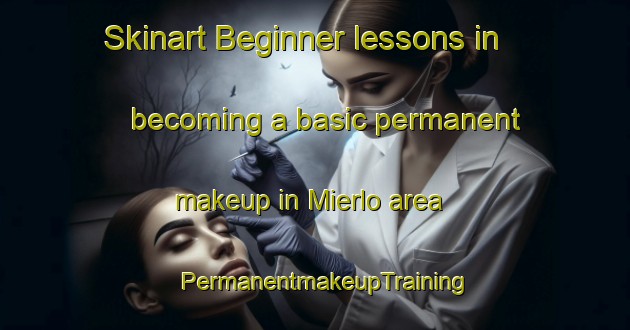 Skinart Beginner lessons in becoming a basic permanent makeup in Mierlo area | PermanentmakeupTraining | PermanentmakeupClasses | SkinartTraining-Netherlands