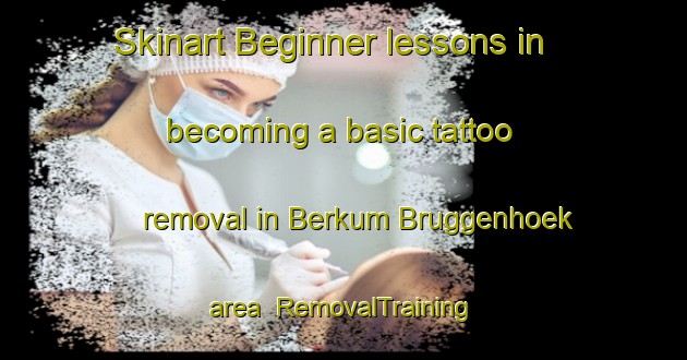 Skinart Beginner lessons in becoming a basic tattoo removal in Berkum Bruggenhoek area | RemovalTraining | RemovalClasses | SkinartTraining-Netherlands