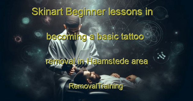 Skinart Beginner lessons in becoming a basic tattoo removal in Haamstede area | RemovalTraining | RemovalClasses | SkinartTraining-Netherlands