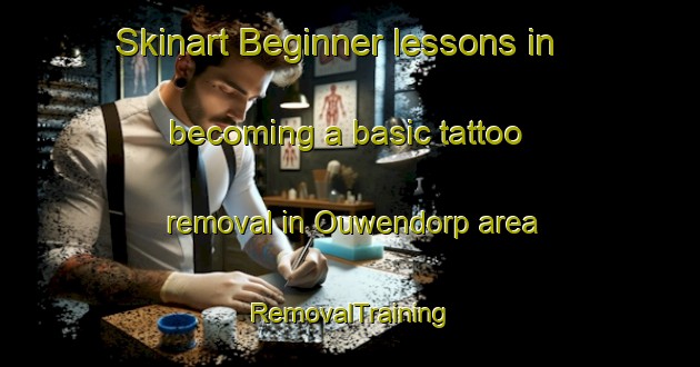 Skinart Beginner lessons in becoming a basic tattoo removal in Ouwendorp area | RemovalTraining | RemovalClasses | SkinartTraining-Netherlands
