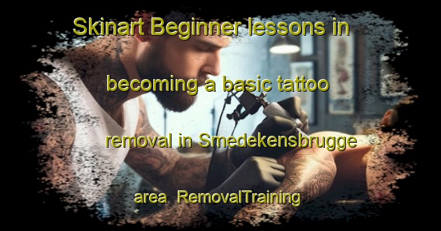 Skinart Beginner lessons in becoming a basic tattoo removal in Smedekensbrugge area | RemovalTraining | RemovalClasses | SkinartTraining-Netherlands