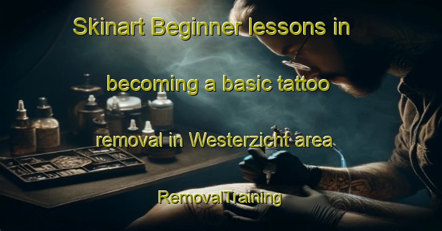 Skinart Beginner lessons in becoming a basic tattoo removal in Westerzicht area | RemovalTraining | RemovalClasses | SkinartTraining-Netherlands