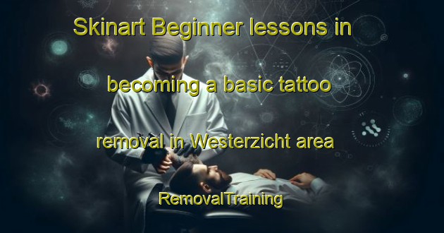 Skinart Beginner lessons in becoming a basic tattoo removal in Westerzicht area | RemovalTraining | RemovalClasses | SkinartTraining-Netherlands