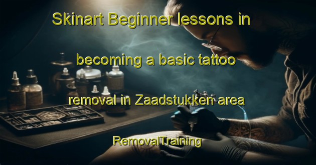 Skinart Beginner lessons in becoming a basic tattoo removal in Zaadstukken area | RemovalTraining | RemovalClasses | SkinartTraining-Netherlands