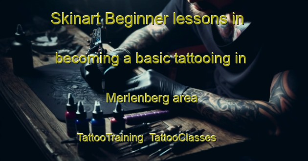 Skinart Beginner lessons in becoming a basic tattooing in Merlenberg area | TattooTraining | TattooClasses | SkinartTraining-Netherlands