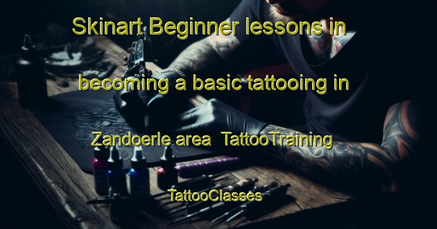 Skinart Beginner lessons in becoming a basic tattooing in Zandoerle area | TattooTraining | TattooClasses | SkinartTraining-Netherlands