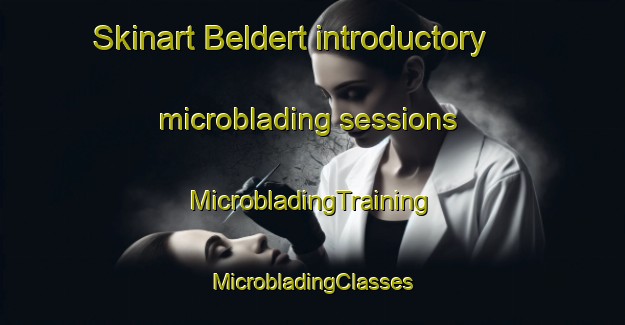 Skinart Beldert introductory microblading sessions | #MicrobladingTraining #MicrobladingClasses #SkinartTraining-Netherlands