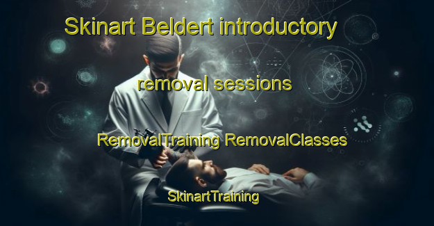 Skinart Beldert introductory removal sessions | #RemovalTraining #RemovalClasses #SkinartTraining-Netherlands