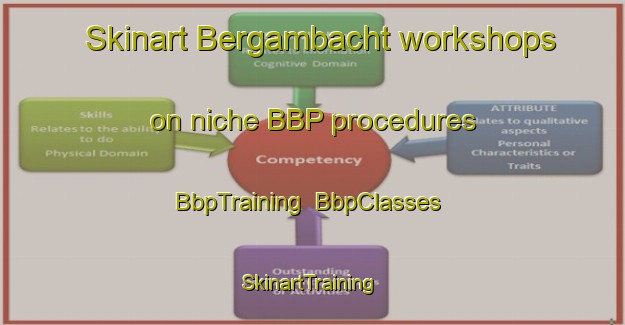 Skinart Bergambacht workshops on niche BBP procedures | BbpTraining | BbpClasses | SkinartTraining-Netherlands