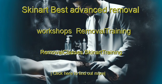 Skinart Best advanced removal workshops | #RemovalTraining #RemovalClasses #SkinartTraining-Netherlands