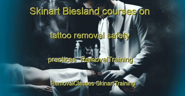 Skinart Biesland courses on tattoo removal safety practices | #RemovalTraining #RemovalClasses #SkinartTraining-Netherlands