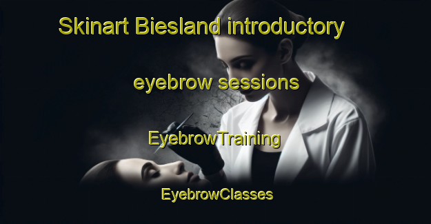 Skinart Biesland introductory eyebrow sessions | EyebrowTraining | EyebrowClasses | SkinartTraining-Netherlands