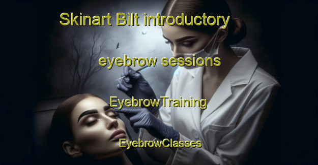 Skinart Bilt introductory eyebrow sessions | EyebrowTraining | EyebrowClasses | SkinartTraining-Netherlands